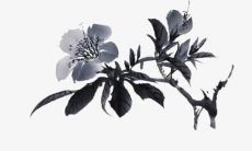 1987兔命里有几个孩子 属兔女聪明又厉害