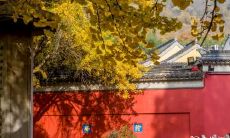 出生在闰年的人命好不好 大富大贵必定生在农历几月