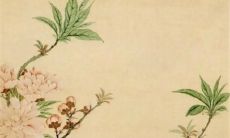 十二生肖小运播报:2023年3月27日特吉生肖一览表