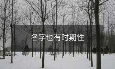 名字也有时期性