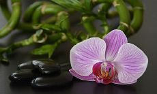 什么星座总喜欢在约会时给人意外的惊喜