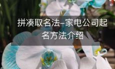 拼凑取名法-家电公司起名方法介绍