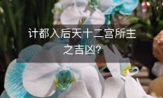 计都入后天十二宫所主之吉凶?
