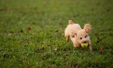 麻松恩姓名评分79分