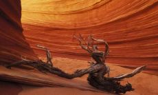 梅狄克姓名评分79分