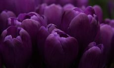 左忆楠姓名评分80分