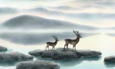 2022年5月29日新店开张好不好 是上等吉日吗