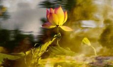 2022年6月7日新店开张好不好 是上等吉日吗