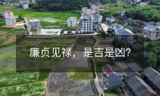 廉贞见禄,是吉是凶?