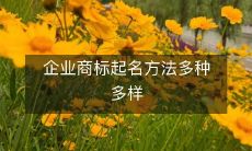 企业商标起名方法多种多样