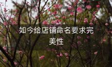 如今给店铺命名要求完美性