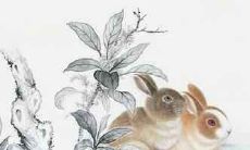 2021年生肖属兔的运程及运势如何