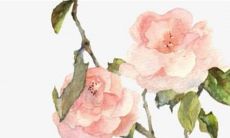 2022年12月13日五行穿衣指南 今日穿衣早知道