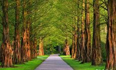 92年6月30日是什么命 农历六月初一出生命运