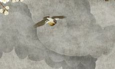 2022年11月28日五行穿衣一览表 今日最旺颜色查询