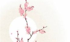 2022年12月1日五行穿衣指南 今日衣服颜色搭配查询