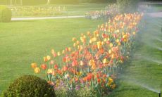 不会轻易生气 对人和事物都很慷慨的四大星座