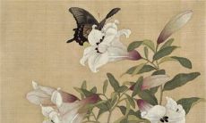 2022年12月6日五行穿衣分享 最佳幸运色查询