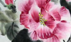 2022年12月9日穿什么颜色衣服好 五行穿衣最佳色