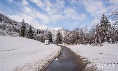 91年1月1日是什么命 农历十一月十六出生命运