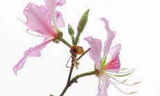 2022年12月5日五行属性查询 每日五行穿衣搭配