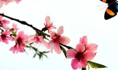 穿衣色彩攻略:2022年12月4日五行穿衣属性查询