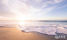 91年1月3日是什么命 农历十一月十八出生命运