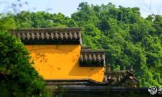 壬午日柱男命 壬午为什么是死桃花