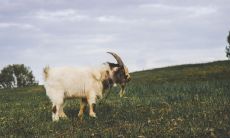 每日五行穿衣2023年1月16日 旺运色穿衣宝典