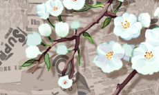 每日五行穿衣2023年1月13日 分享吉利色穿衣