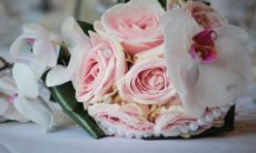 2022年10月17日宜订婚吗 今日提亲好吗