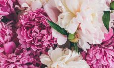 每日五行穿衣2023年1月29日 利财运色穿衣分享