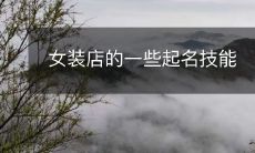 女装店的一些起名技能