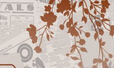 2023年腊月出生的兔宝宝好不好 聪慧过人有智有谋