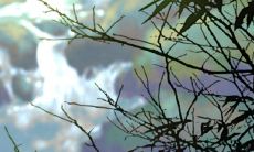 2023年腊月兔一生命苦 会走很多弯路