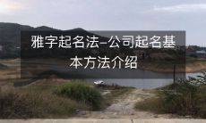 雅字起名法-公司起名基本方法介绍