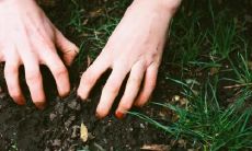 生贵子的女人面相 这些女人晚年生活不发愁