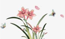 今日五行穿衣:2022年12月17日穿什么颜色旺运势