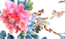 2022年12月15日五行属性查询 每日五行穿衣搭配