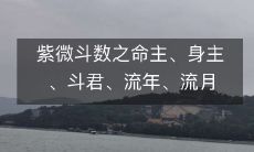 紫微斗数之命主、身主、斗君、流年、流月