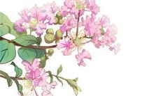 2022年12月18日五行穿衣一览表 今日最旺颜色查询