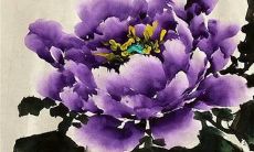 每日五行穿衣分享:2022年12月20日穿衣最佳幸运色