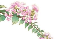 2022年12月19日穿什么颜色衣服好 五行穿衣最佳色