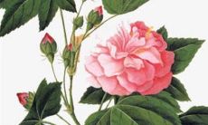 五行穿衣旺运:2022年12月22日冬至穿衣幸运色搭配分享