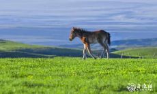 属马2023.3.5运势 人际关系好