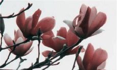 2022年12月16日五行穿衣分享 最佳幸运色查询