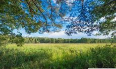 风水方位是面对着的还是背对 怎么看