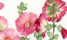 2022年12月28日五行穿衣一览表 今日最旺颜色查询