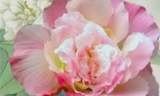 穿衣色彩攻略:2022年12月24日平安夜五行穿衣属性查询