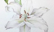 2022年12月23日五行穿衣指南 今日穿衣早知道